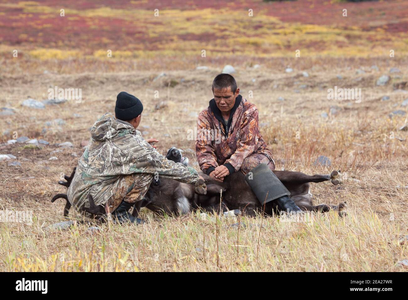 Kauchuk qogirchoqni sik
