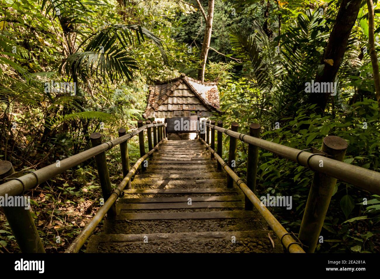 The stairs for going down to reach Nungnung Waterfall in Bali Stock ...