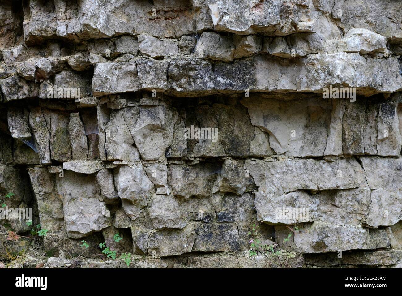 Rock face in the Wutach gorge, Wutach, nature reserve, Black Forest, nature park Park Southern Black Forest, High Black Forest, Baden-Wuerttemberg Stock Photo
