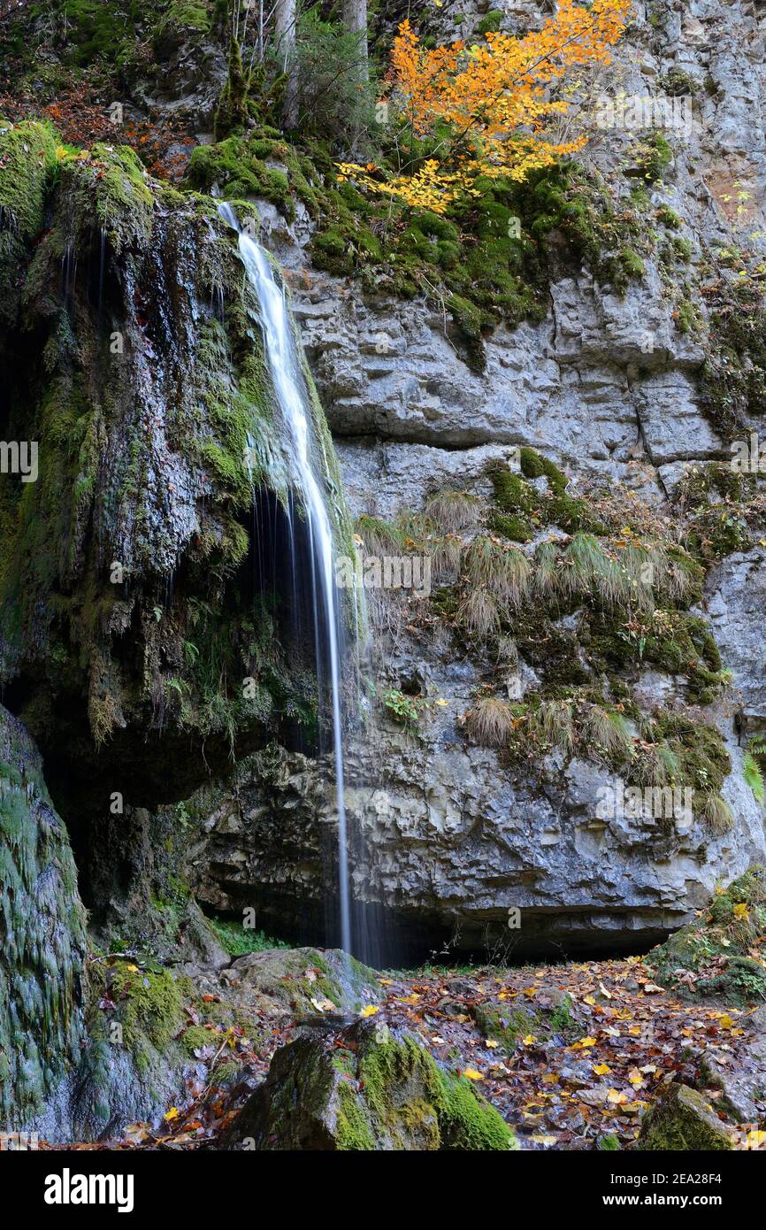 Wutach gorge, mossy rock face with waterfall, Wutach, nature reserve, Black Forest, nature park Park Southern Black Forest, High Black Forest Stock Photo
