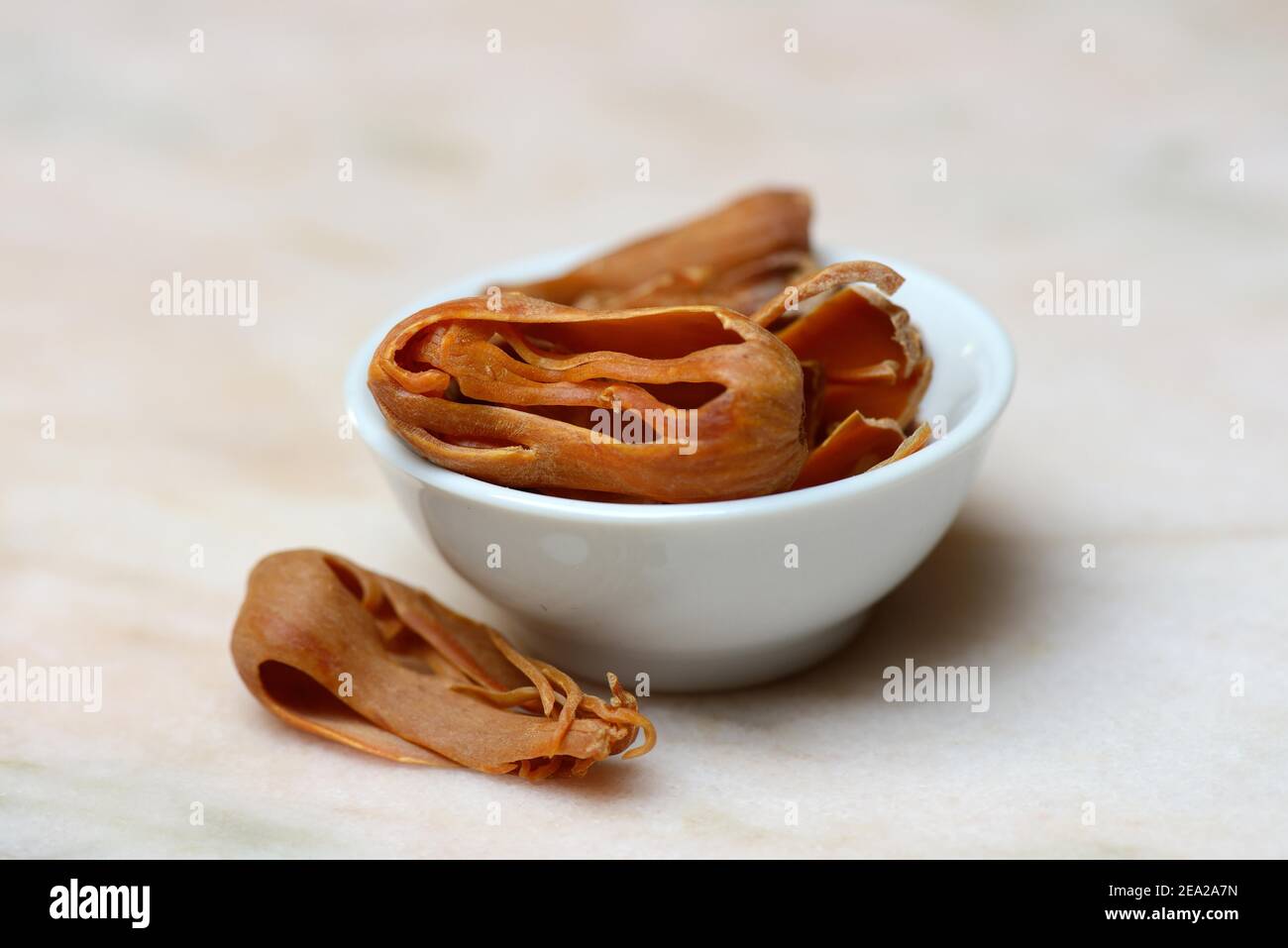 Mace in shell, mace, mace, mace Stock Photo Alamy