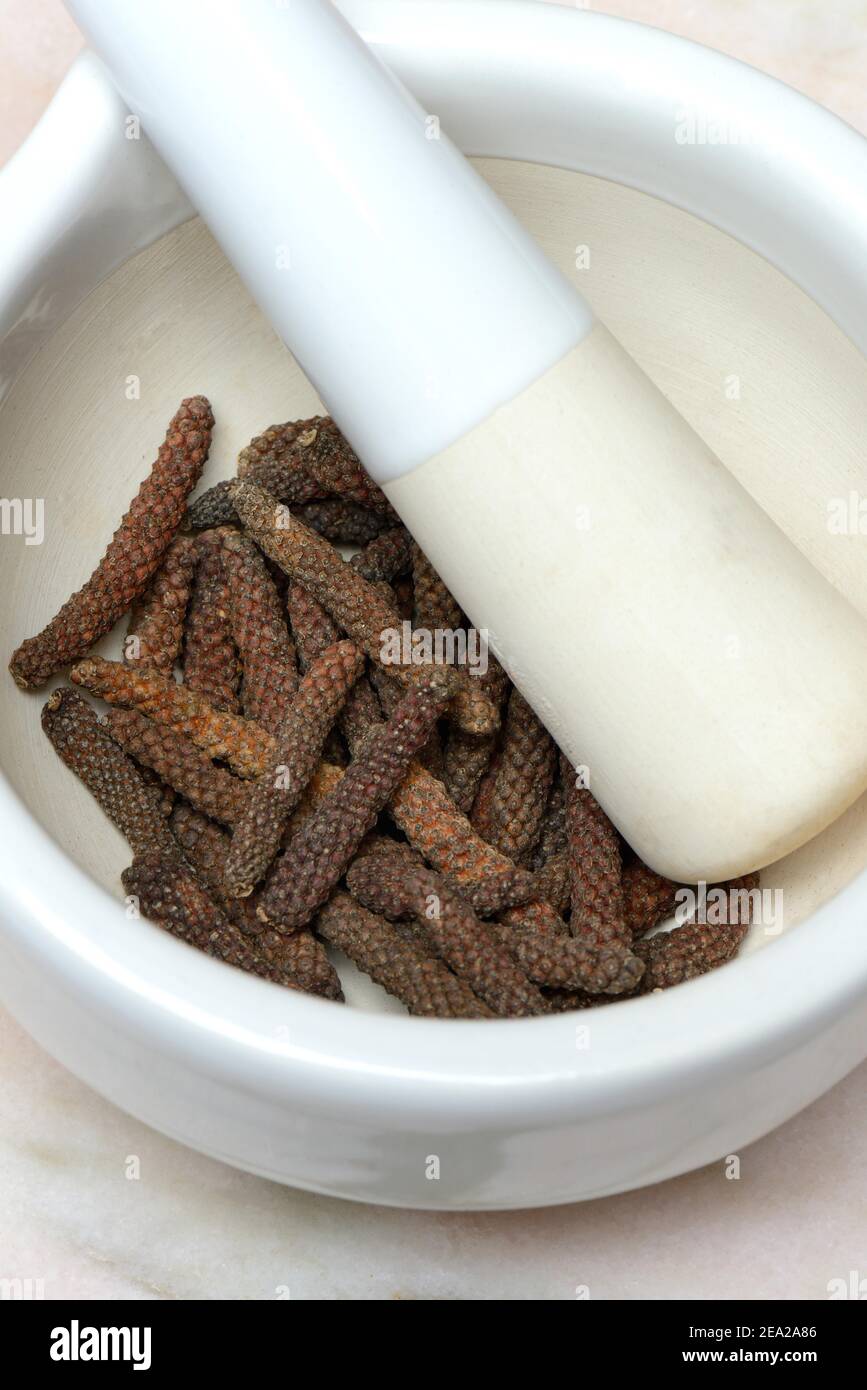Long red kampot pepper hires stock photography and images Alamy