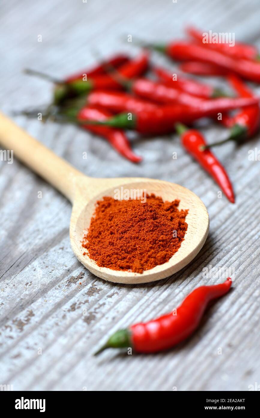 Chili, chili powder in wooden spoons and chili peppers ( Capsicum