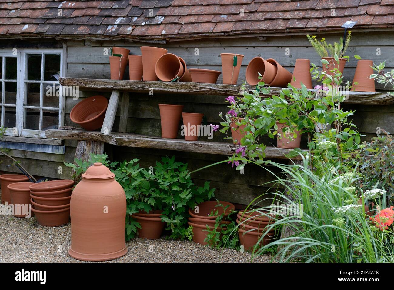 Clay pots, bleaching pot, rhubarb bleaching pot, flower pot, flower pots Stock Photo