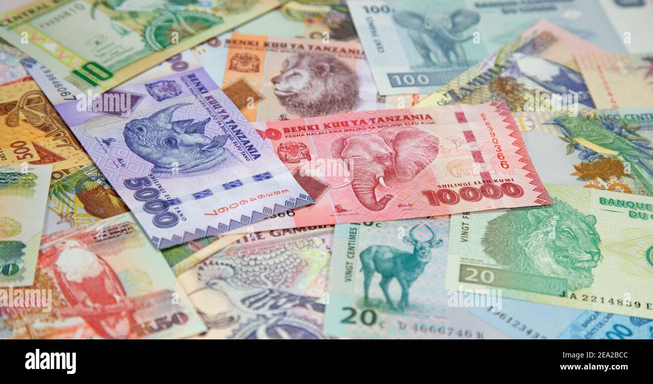 Variety of the African banknotes Stock Photo - Alamy