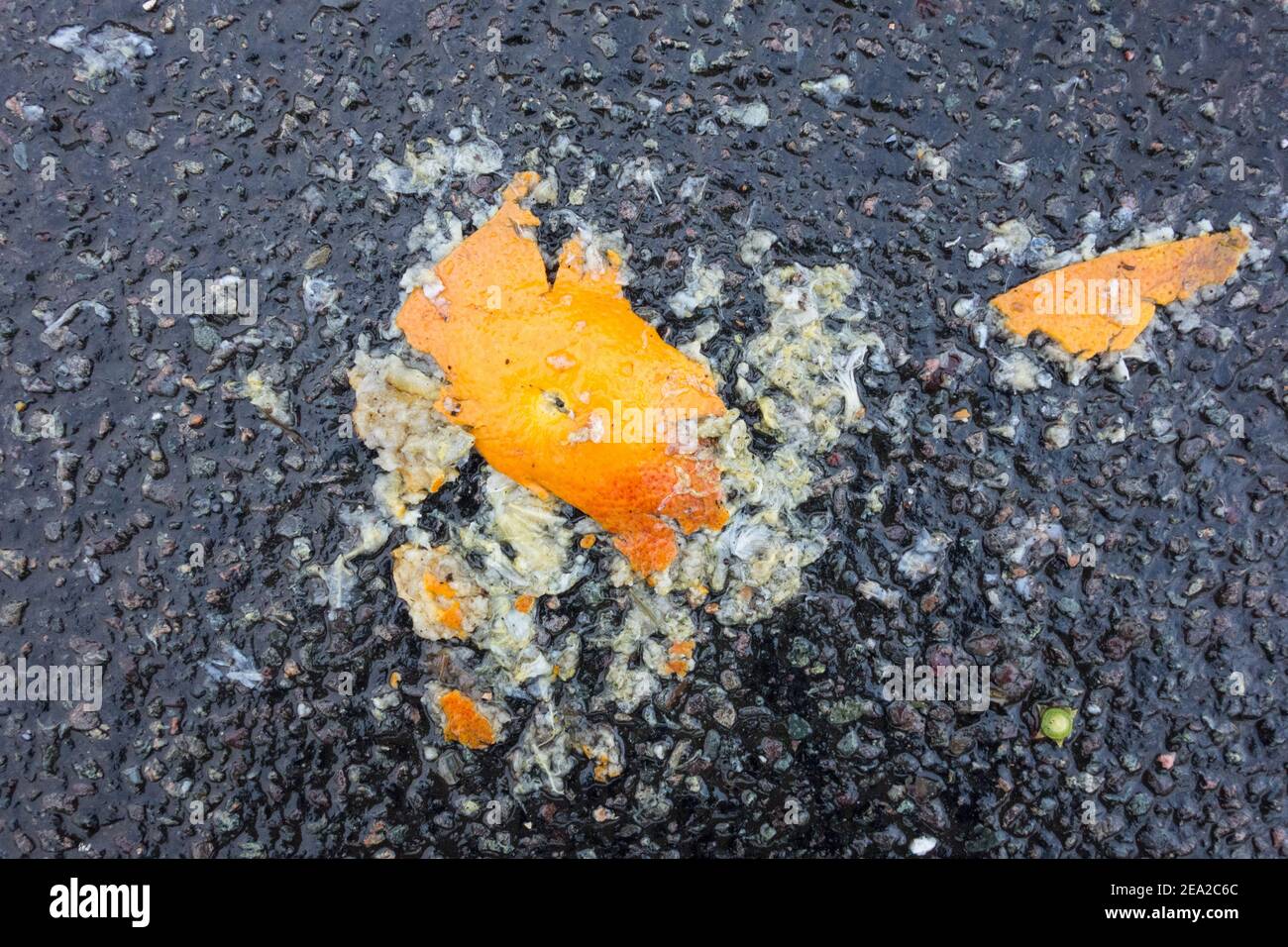Squashed orange peel on a tarmac road Stock Photo
