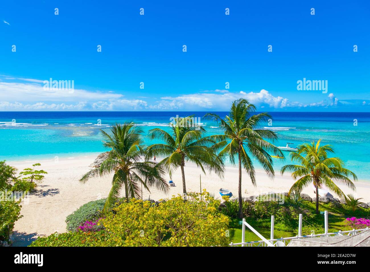 Paradise beach. Sunny beach with palm and turquoise sea. Worthing beach in Barbados. Stock Photo