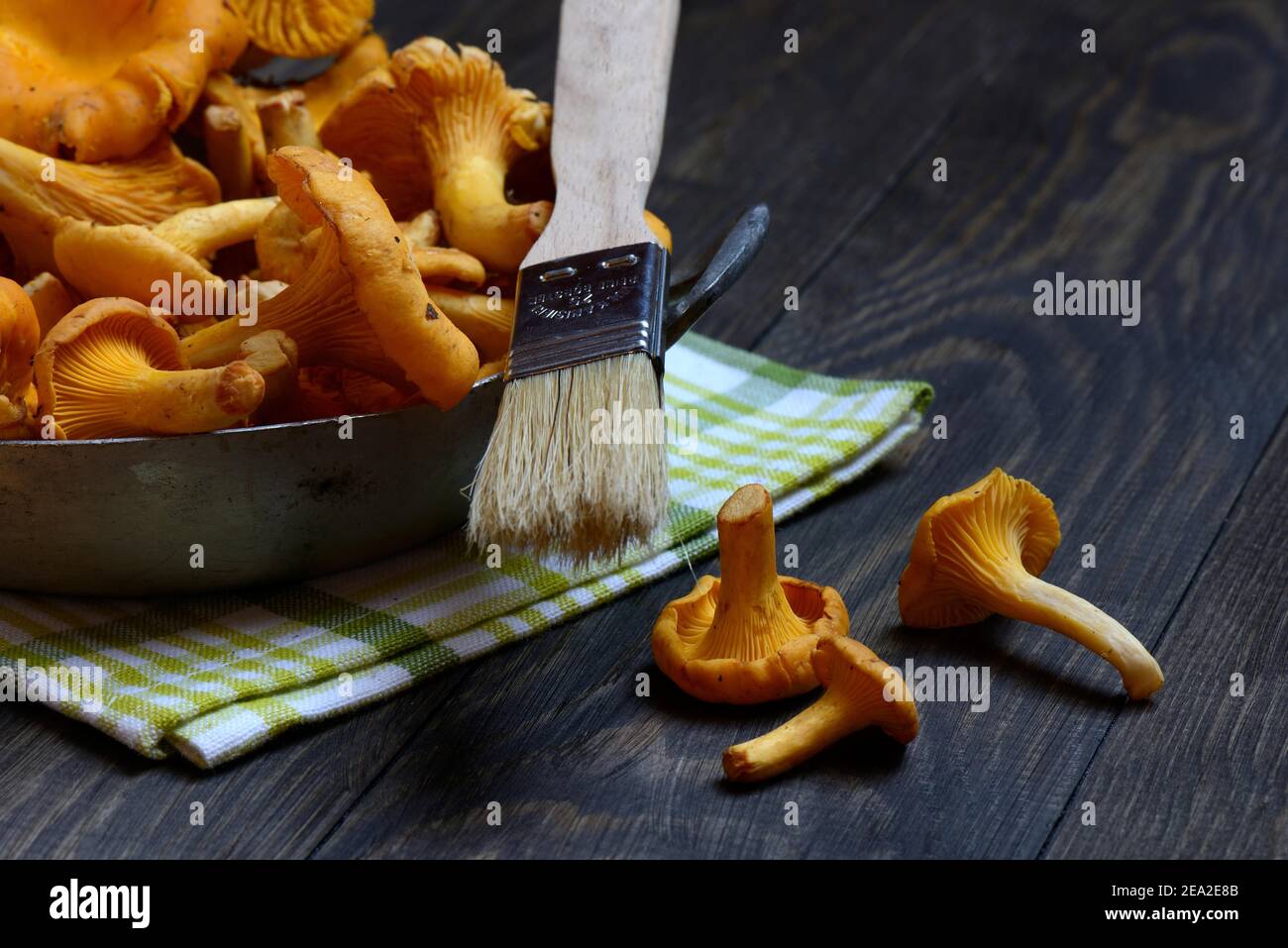 Chanterelles with brush, cleaning mushrooms Stock Photo Alamy