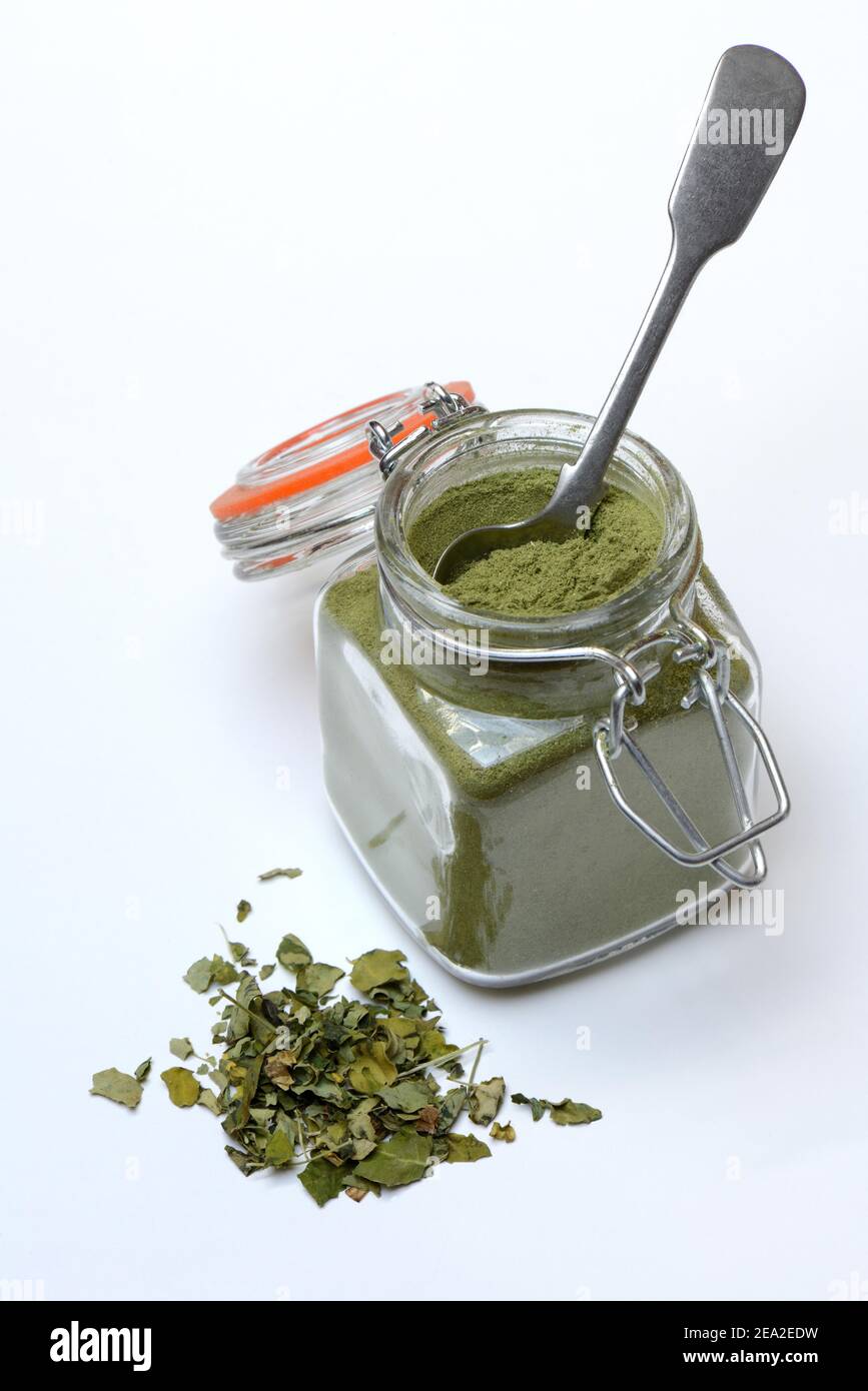 Moringa powder in glass ( Moringa oleifera Stock Photo - Alamy
