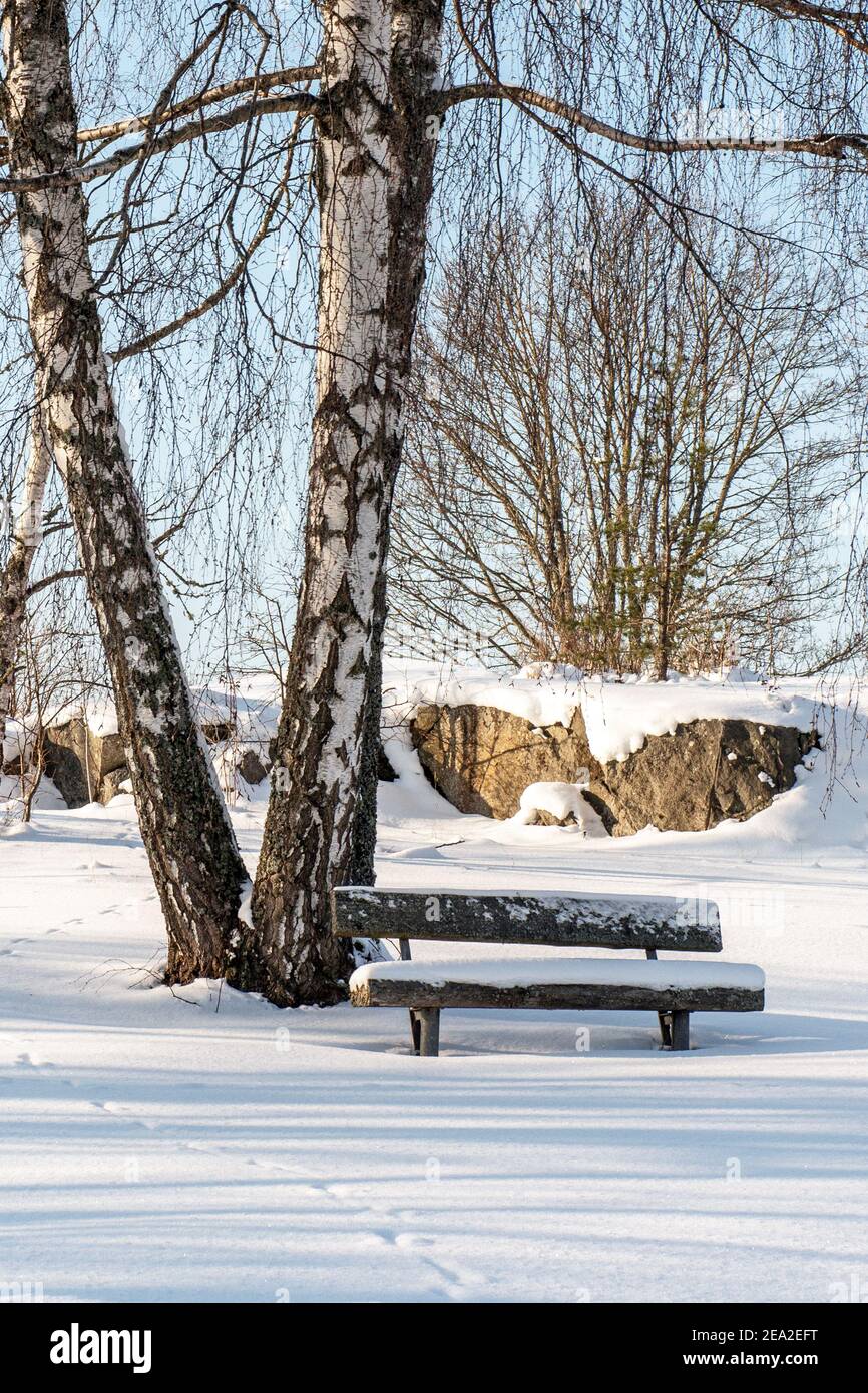A bench in park covered in snow photo: Bo Arrhed Stock Photo - Alamy