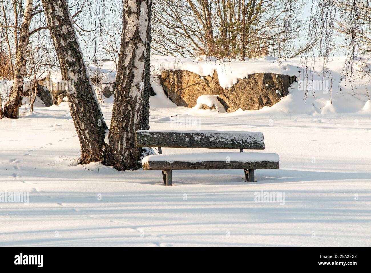 A bench in park covered in snow photo: Bo Arrhed Stock Photo - Alamy