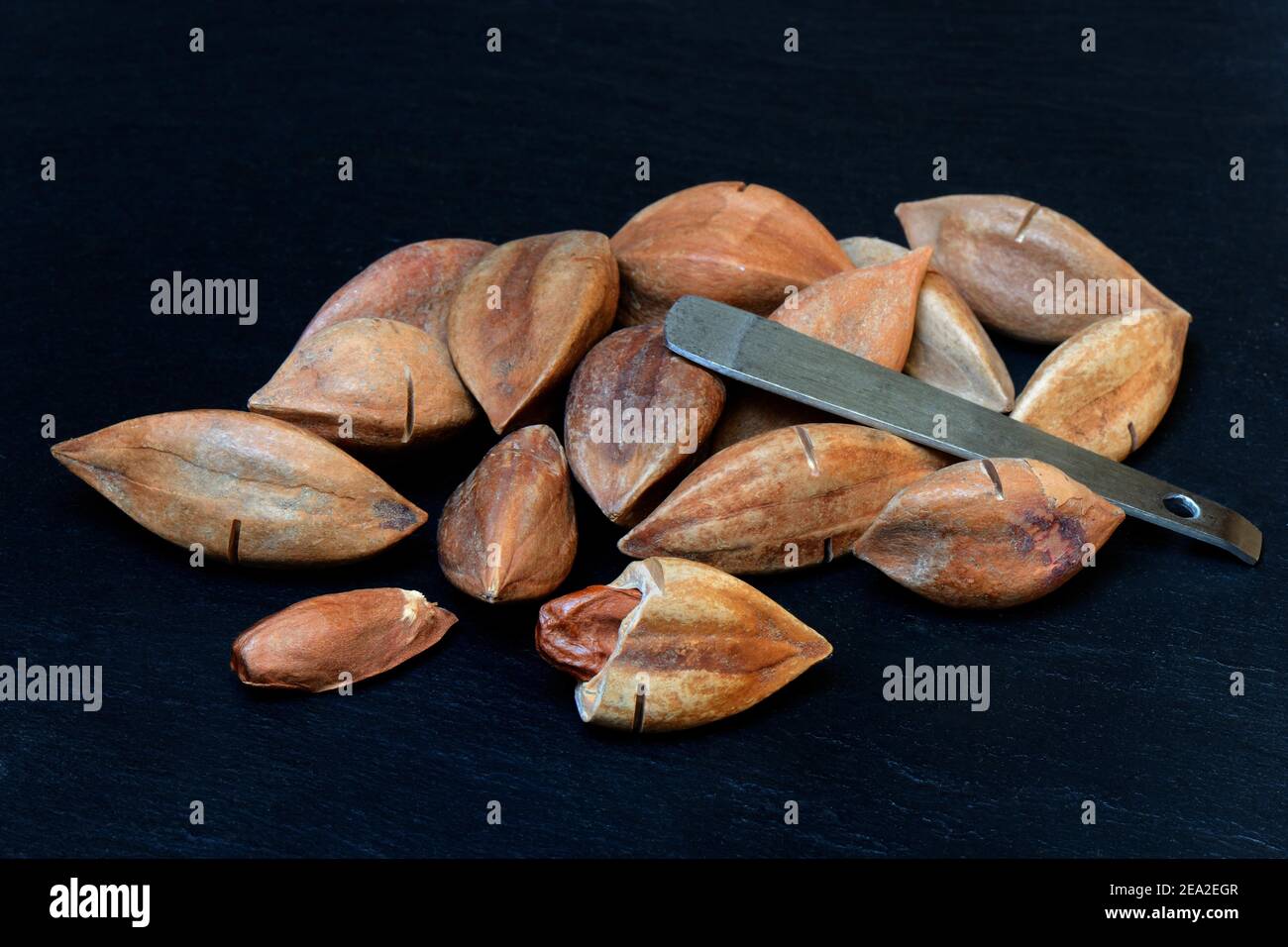 Pre-scored and opened pilinuts with pili crackers ( Canarium ovatum) Stock Photo