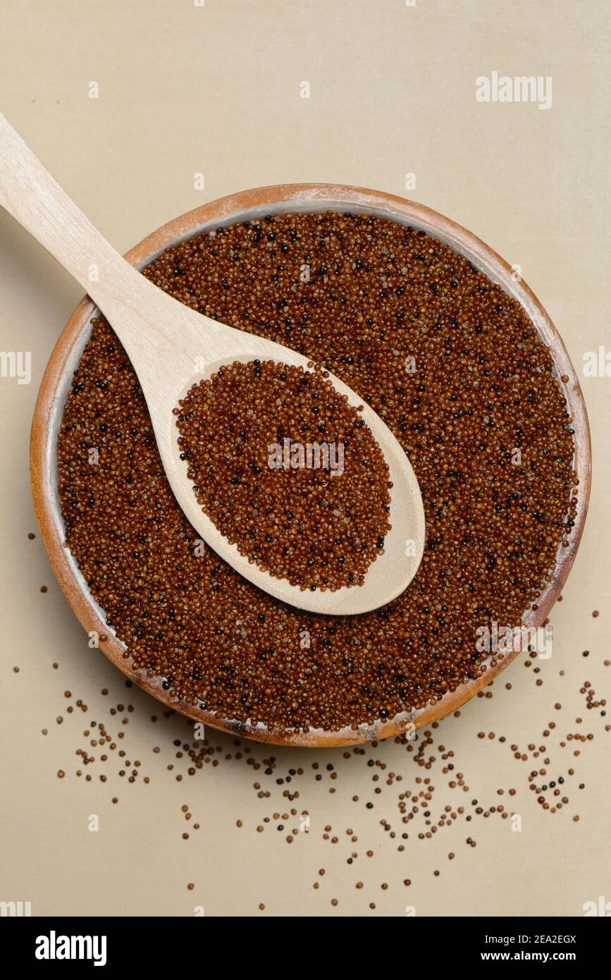 Kaniwa in bowl with spoon, Baby Quinoa, Chenopodium pallidicaule Stock Photo