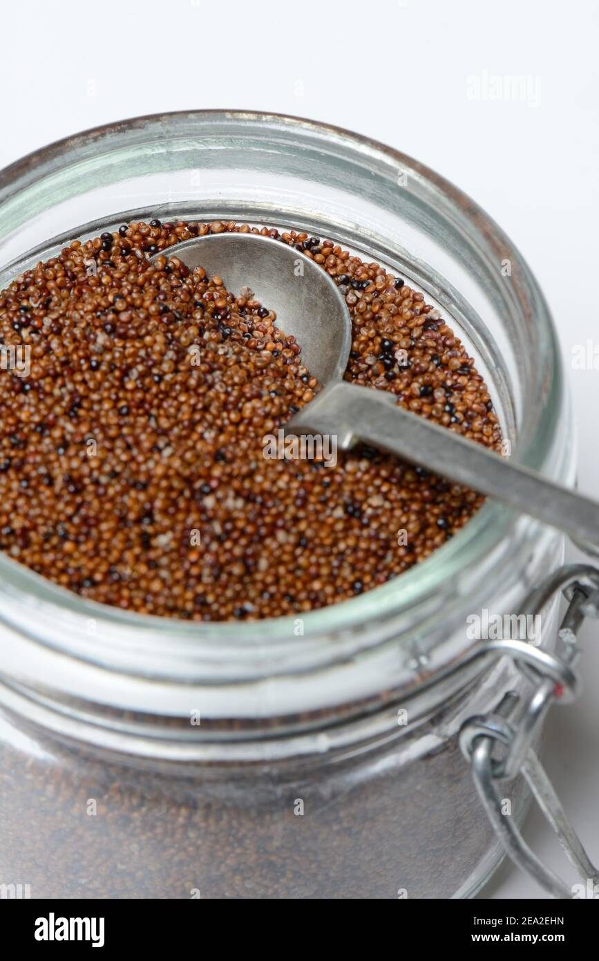 Kaniwa in glass with spoon, Baby Quinoa, Chenopodium pallidicaule Stock Photo