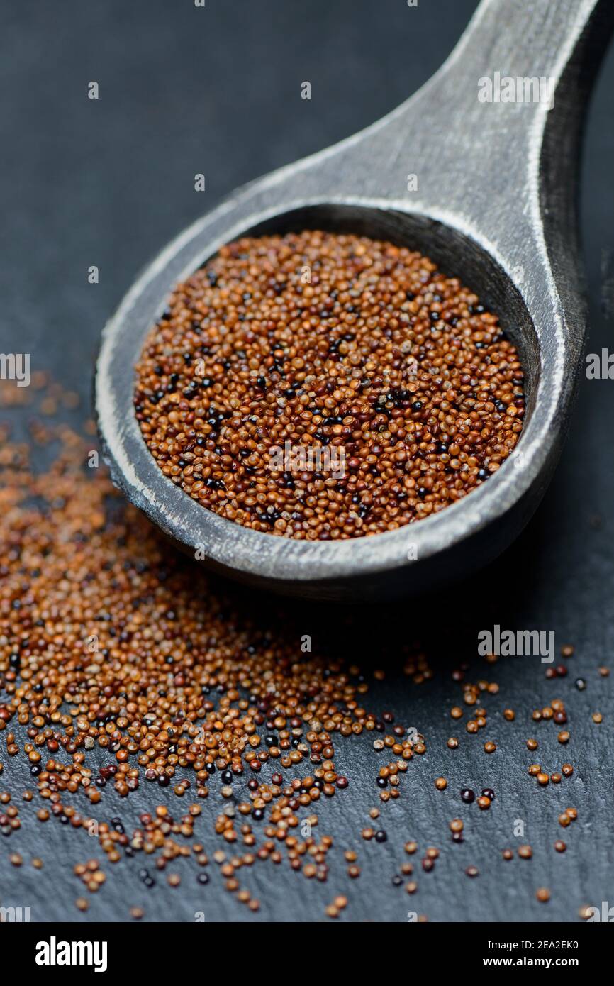 Canihua ( Chenopodium pallidicaule) in wooden spoon, baby quinoa Stock Photo