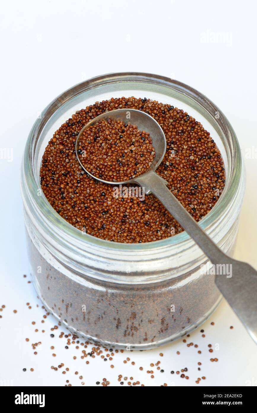 Kaniwa in glass with spoon, Baby Quinoa, Chenopodium pallidicaule Stock Photo