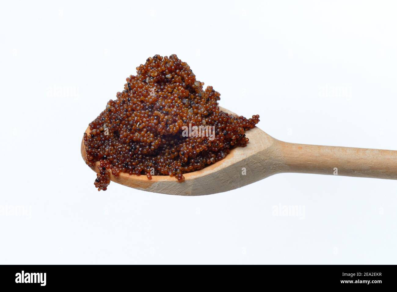 Cooked Kaniwa in cooking spoon, Baby Quinoa, Chenopodium pallidicaule Stock Photo
