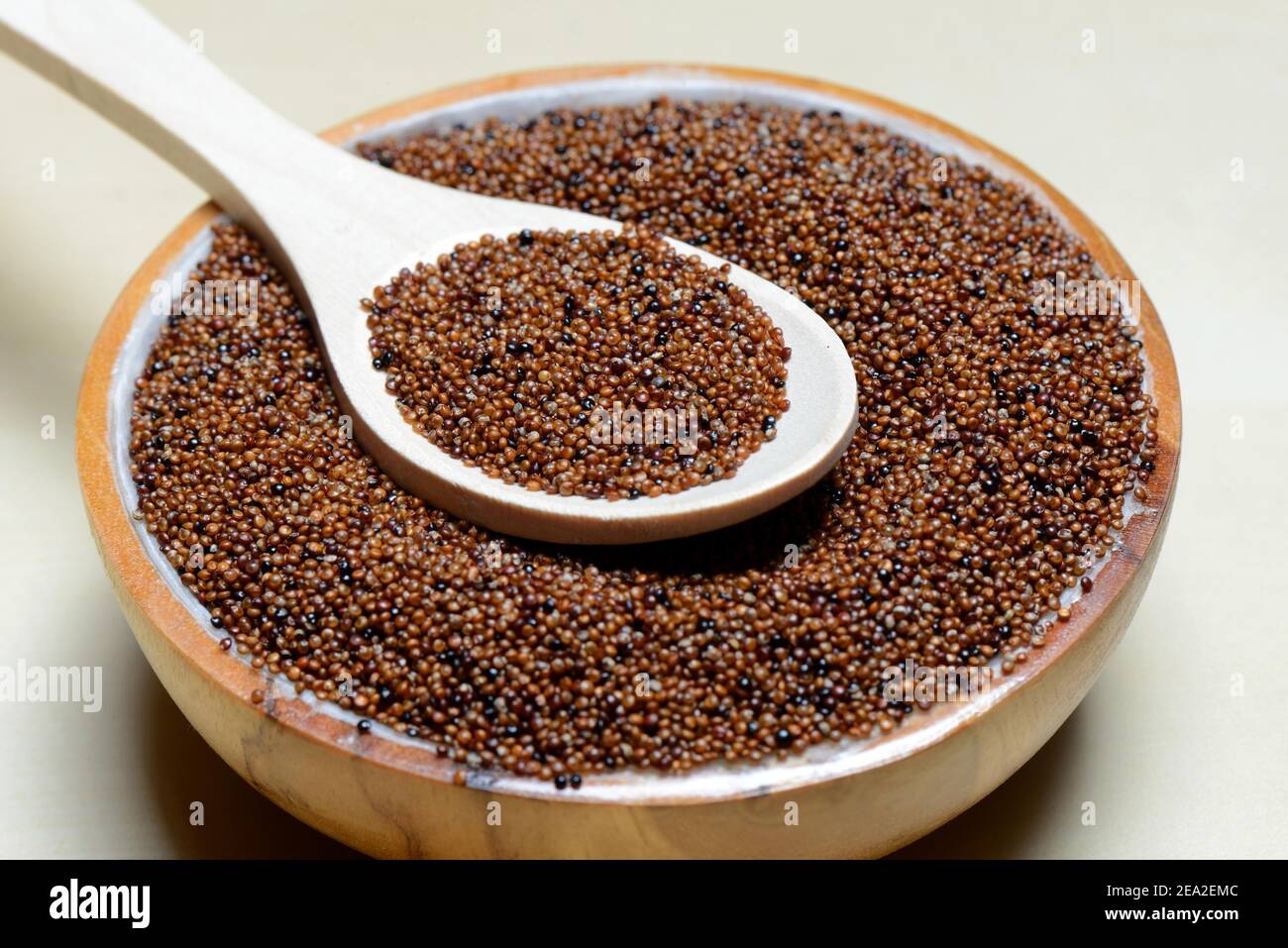 Kaniwa in bowl with spoon, Baby Quinoa, Chenopodium pallidicaule Stock Photo