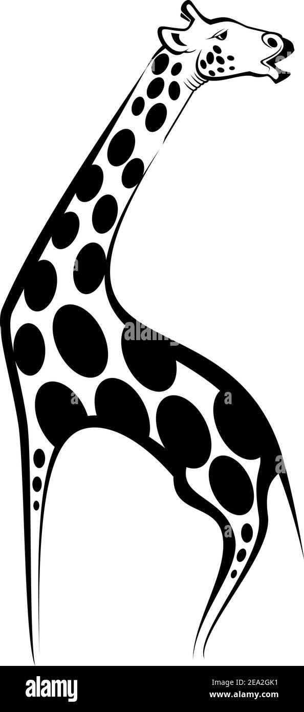 Wild giraffe as a mascot isolated on white Stock Vector Image & Art - Alamy
