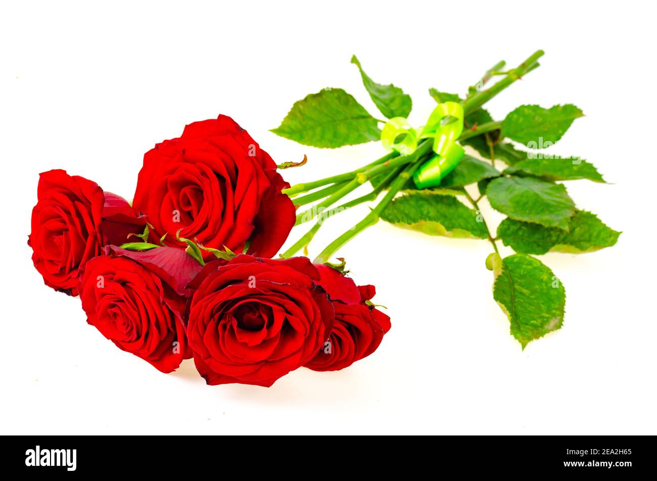 Dark red roses isolated on white background. Studio Photo Stock Photo
