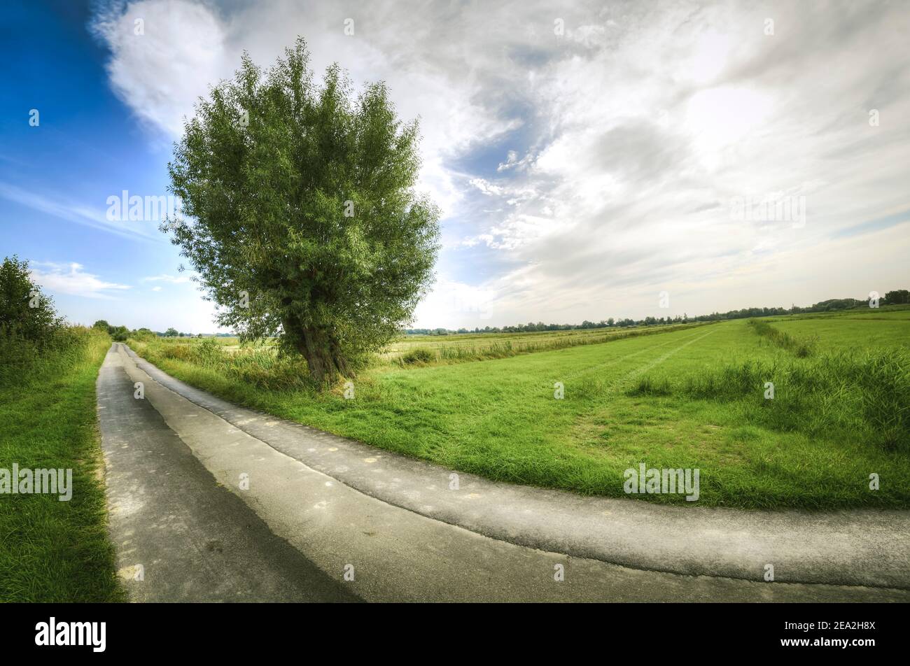 Nature Reserve Kirchwerder In Germany Stock Photo - Alamy