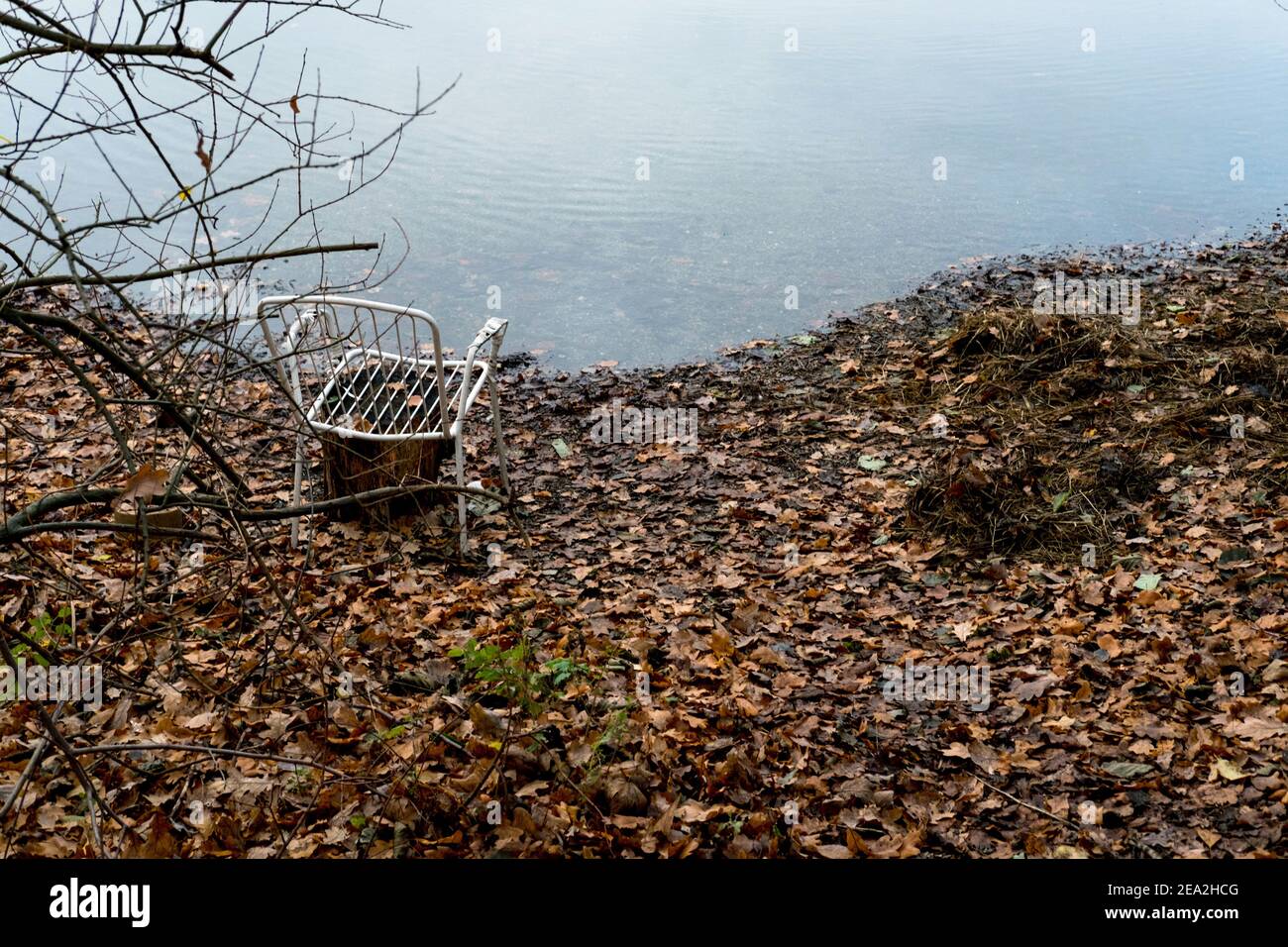 Wedtlenstedt, Germany. 11th Dec, 2020. An old lawn chair stands in wilted leaves on the shore of a hidden fishing pond. Credit: Stefan Jaitner/dpa/Alamy Live News Stock Photo