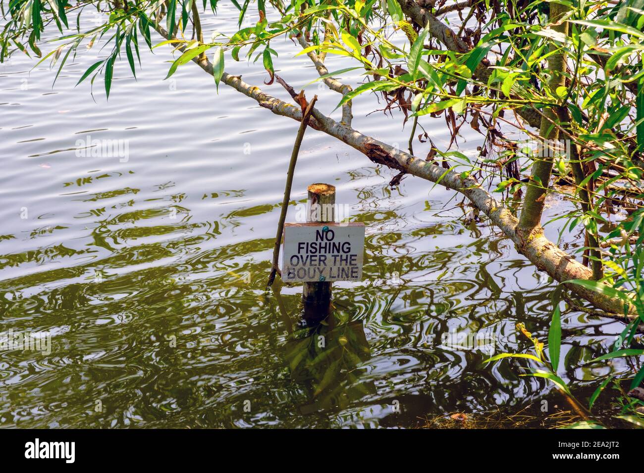 No Fishing Over the Bouy Line sign in the water at Batchworth Lake, Rickmansworth Aquadrome. Misspelling in sign. Stock Photo