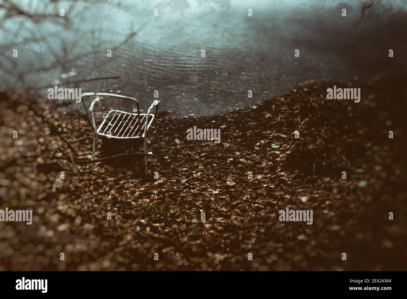 Wedtlenstedt, Germany. 11th Dec, 2020. An old garden chair stands in wilted leaves on the shore of a hidden fishing pond. (Image was manipulated by means of software) Credit: Stefan Jaitner/dpa/Alamy Live News Stock Photo