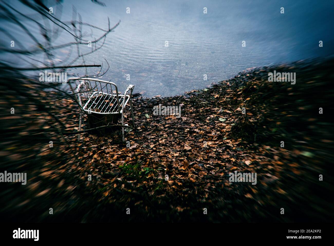 Wedtlenstedt, Germany. 11th Dec, 2020. An old garden chair stands in wilted leaves on the shore of a hidden fishing pond. (Image was manipulated by means of software) Credit: Stefan Jaitner/dpa/Alamy Live News Stock Photo