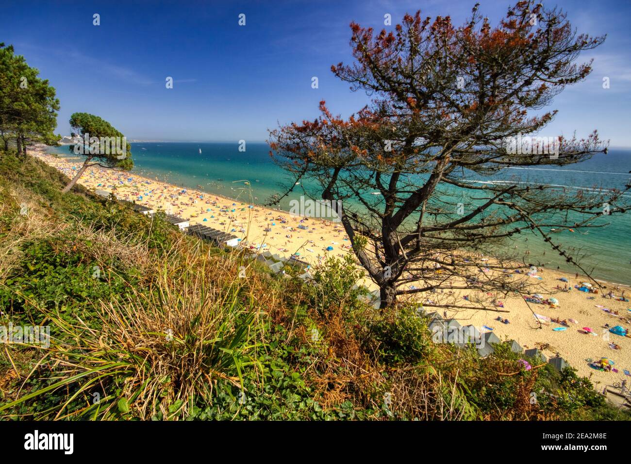 Summer Holidays - Branksome Chine, Poole, Dorset Stock Photo