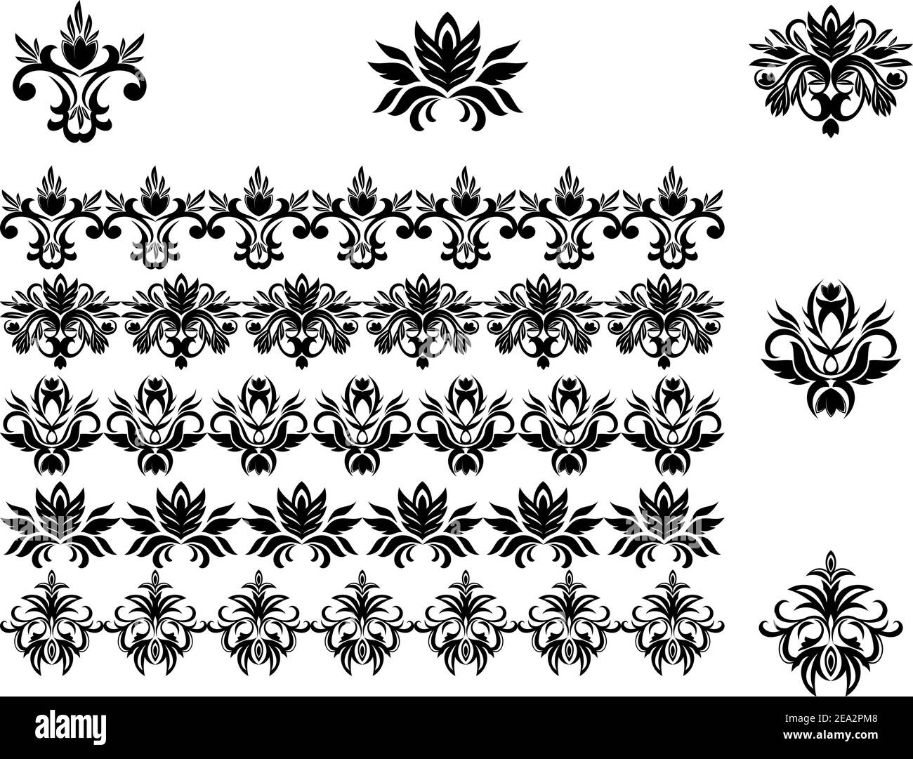 Flower patterns and borders for design and ornate Stock Vector