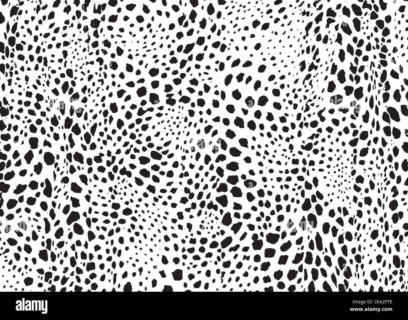 Cheetah spots pattern design. Vector illustration background. Wildlife fur skin design illustration. Stock Vector
