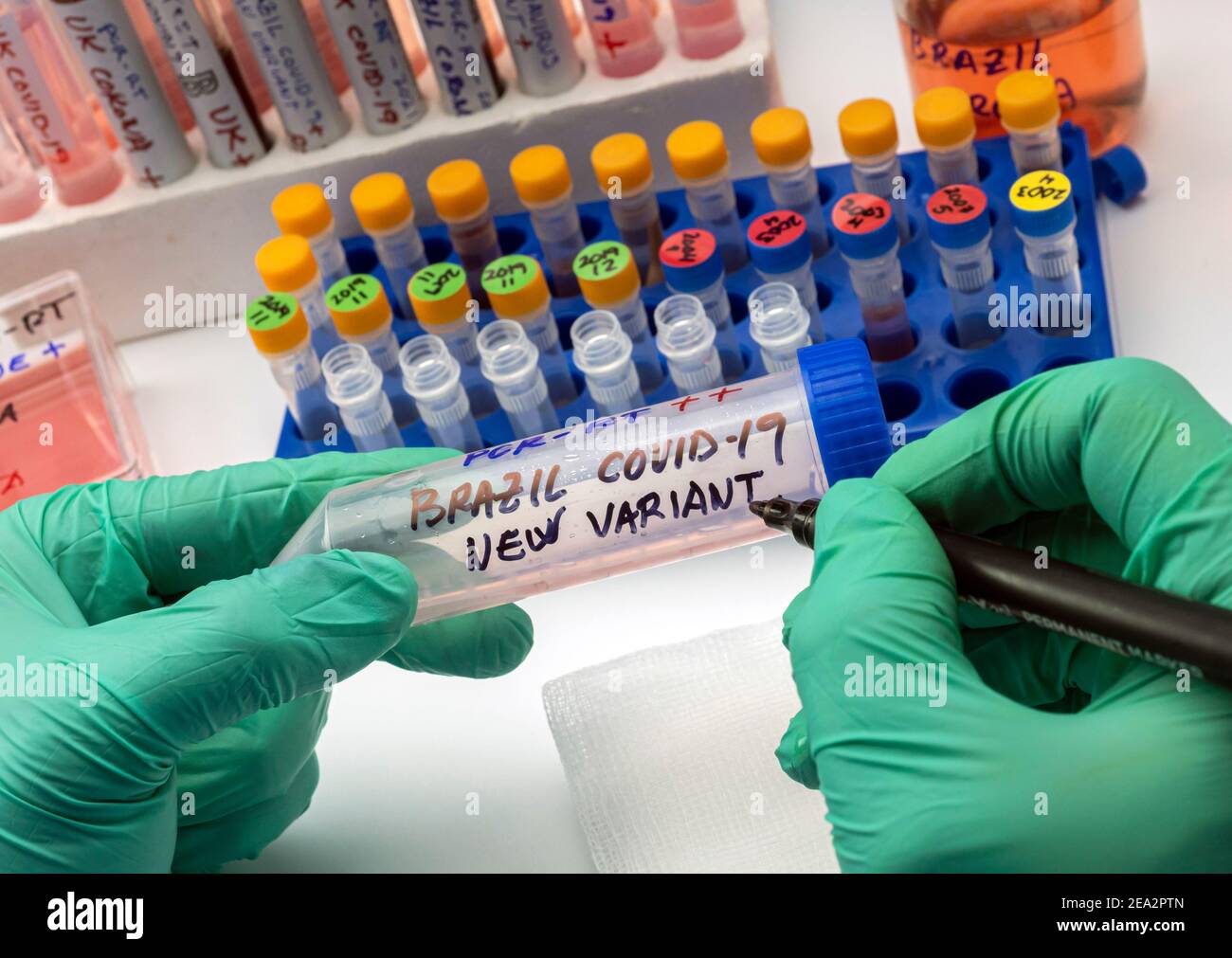 Scientist writes in a vial new variant of covid-19 virus from Brazil detected in Minnesota, concept image Stock Photo