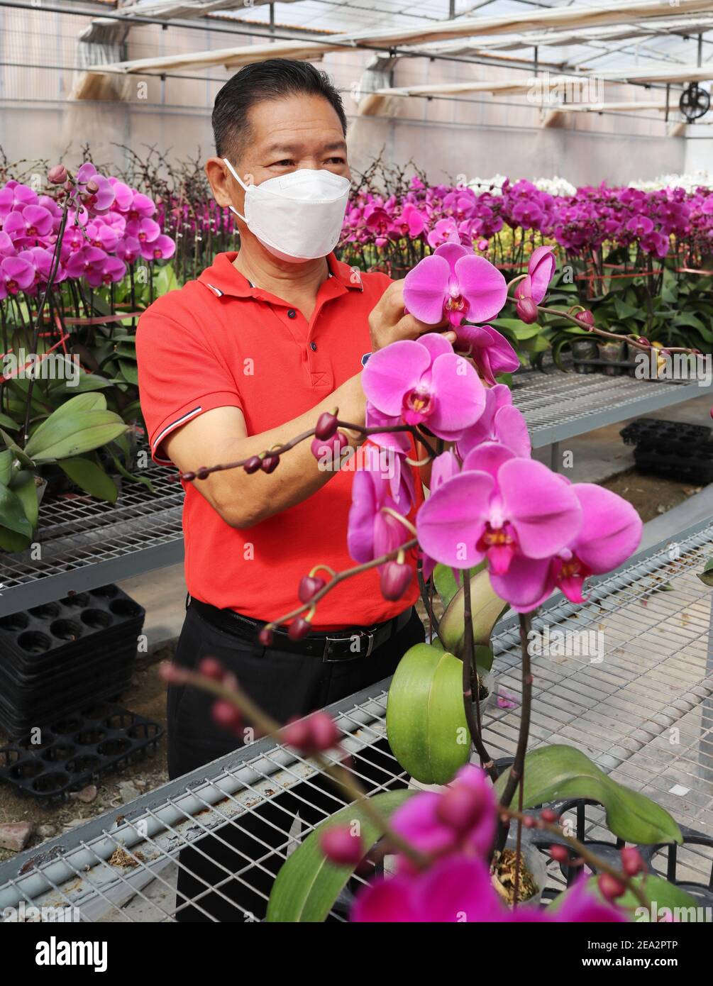 Hong Kong, China. 28th Jan, 2021. Yeung Siulung, known as the "orchid
