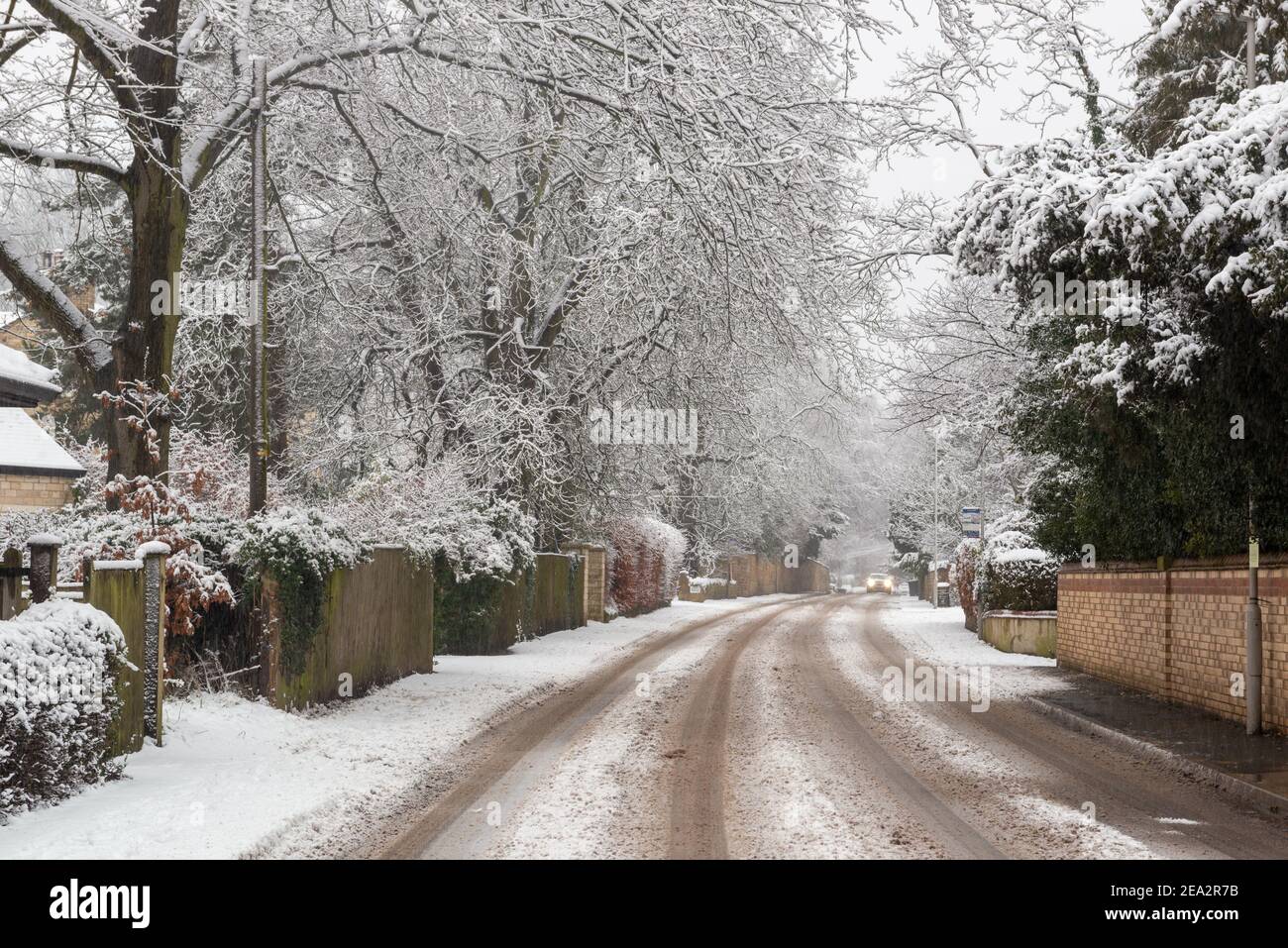 View of a snow covered, tree lined Boston Spa High Street with tracks