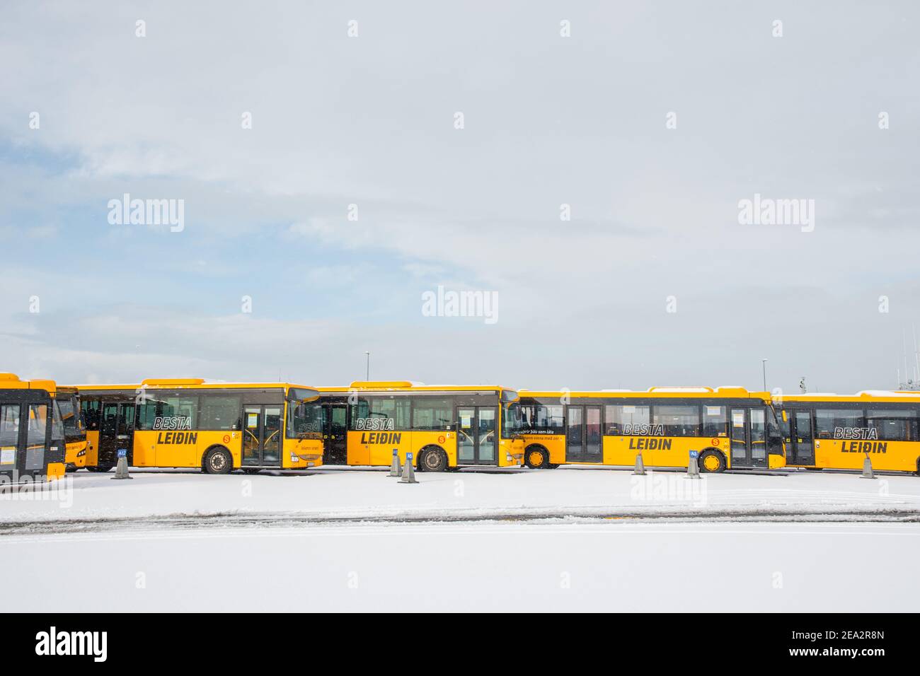 Reykjavik Iceland - March 21. 2020: Parked city buses Stock Photo