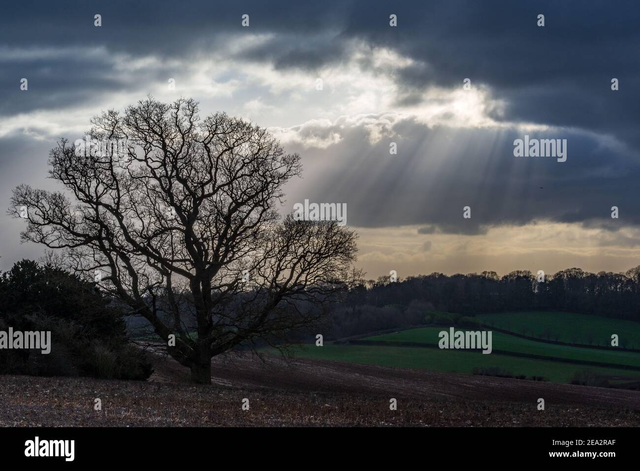 Breamore, Fordingbridge, New Forest, Hampshire, UK, 7th February, 2021, Weather: A biting cold easterly wind adds a significant wind chill factor to the already low temperatures. The sun’s rays make a rare appearance over the countryside. Credit: Paul Biggins/Alamy Live News Stock Photo