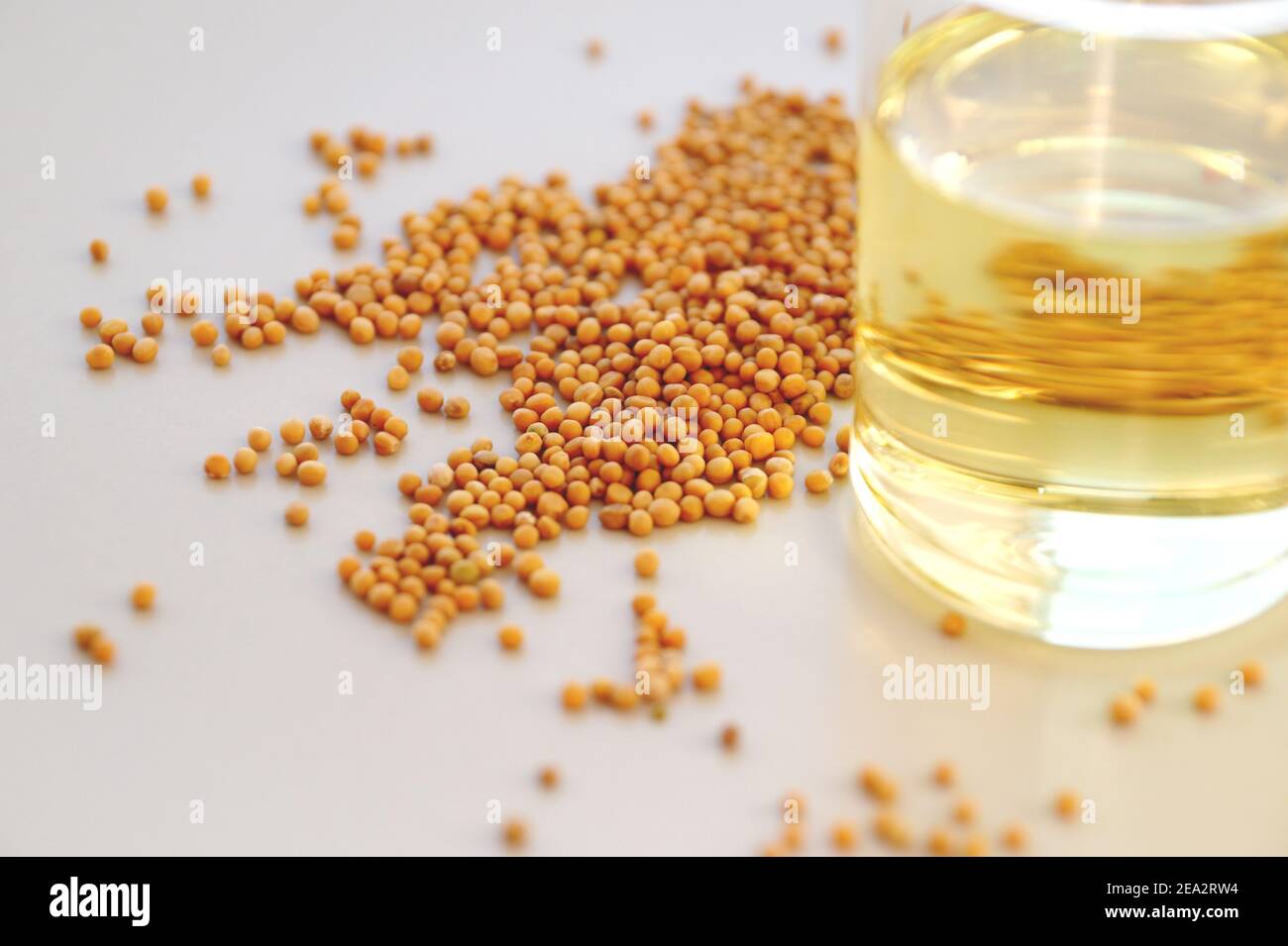 Basic mustard ingredients. Mustard and vinegar in a bottle Stock Photo