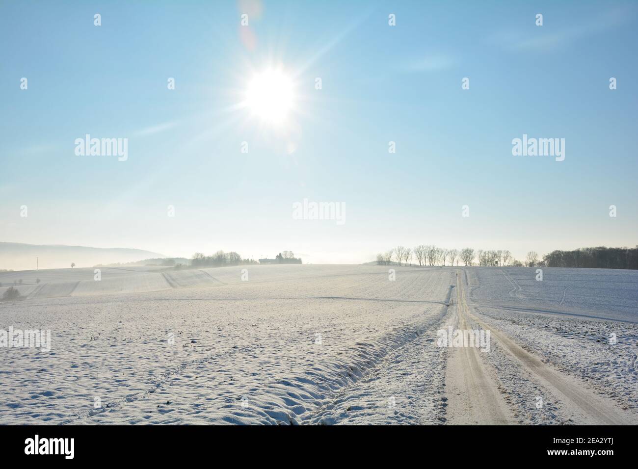 Nny hi-res stock photography and images - Alamy