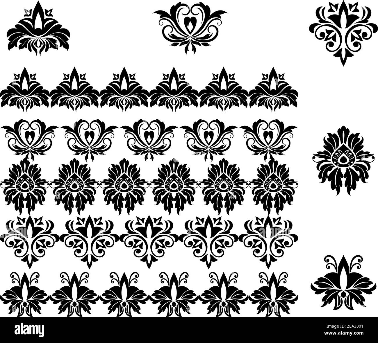 Flower patterns and borders for design and ornate Stock Vector Image ...