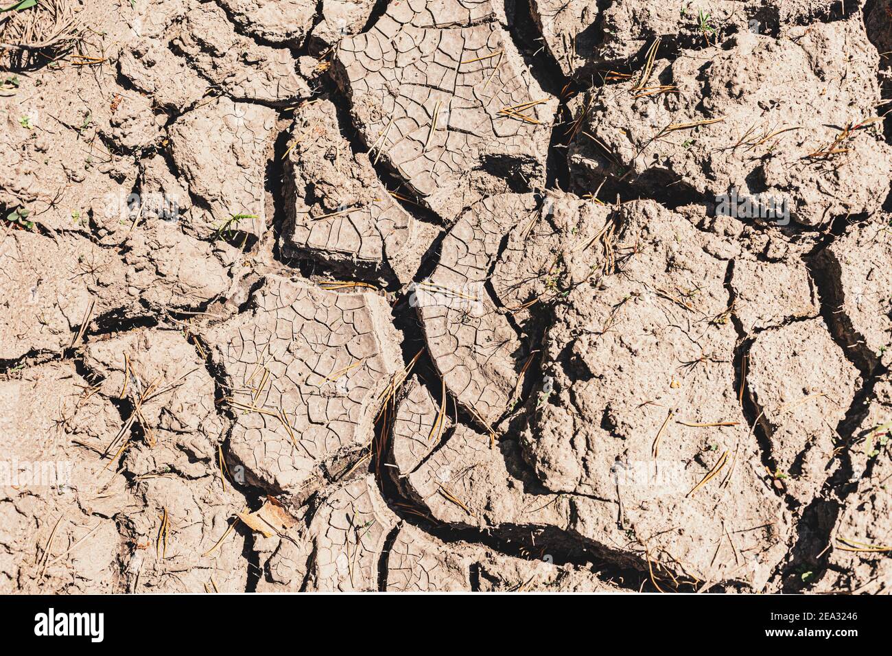 Dry and cracked soil during a drought. Global warming and agricultural ...