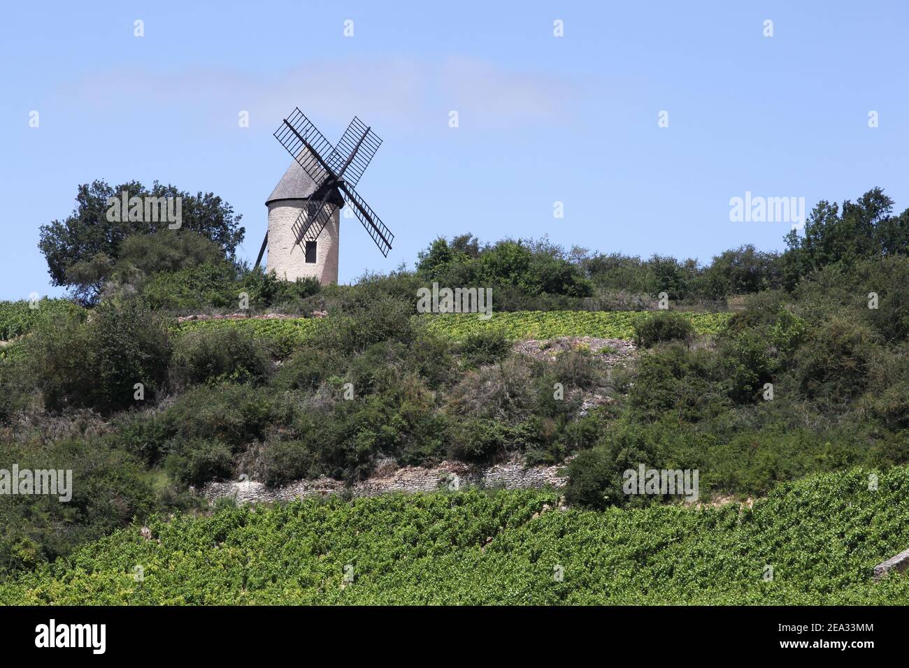 Landscape with Chassagne Montrachet vineyards in Burgundy, France Stock Photo