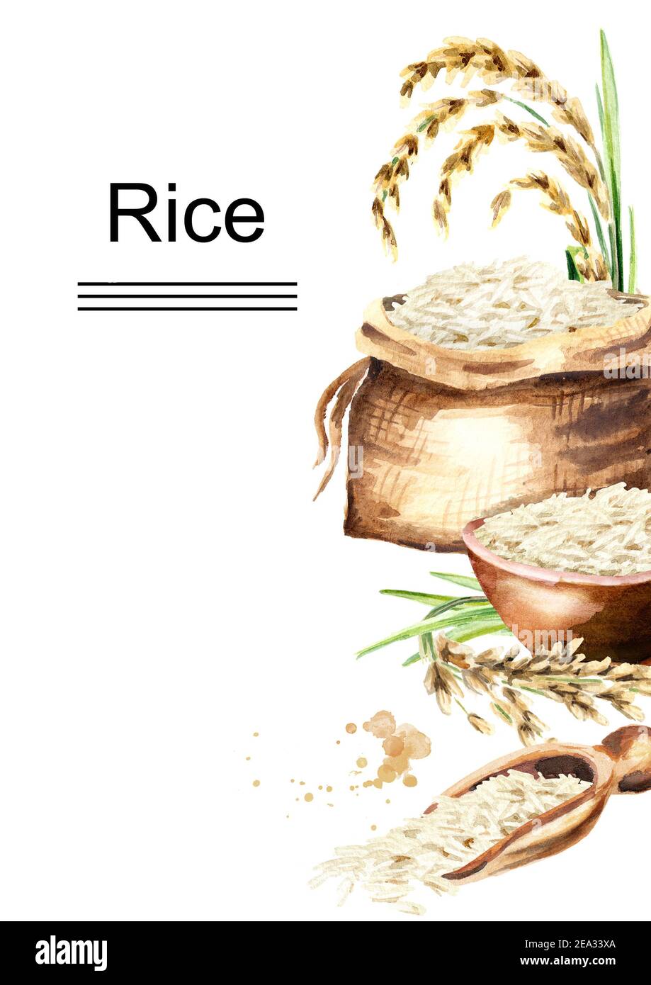 White Rice template. Watercolor hand drawn illustration, isolated on white background Stock Photo