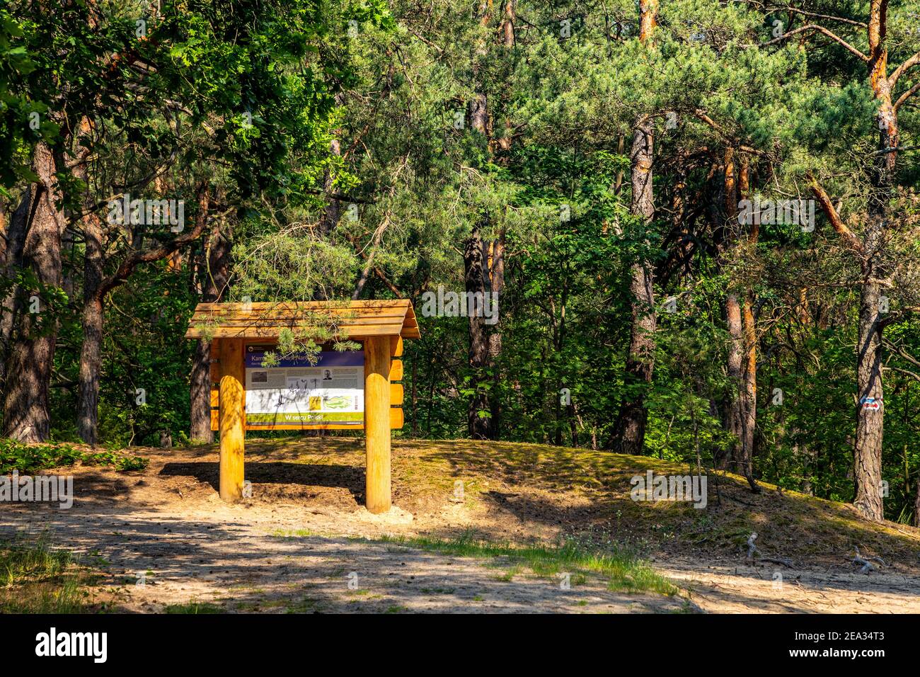 Izabelin, Poland - June 28, 2020: Touristic guide board at walking track in thicket of Puszcza Kampinoska Forest in Izabelin town near Warsaw in centr Stock Photo
