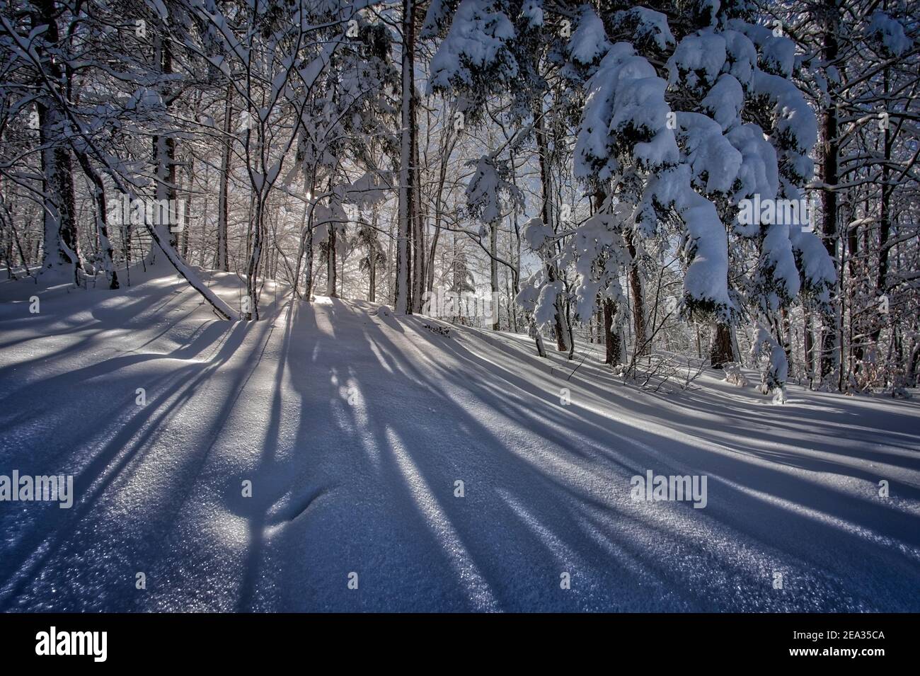 DE - BAVARIA: Winter scene on Kalvarienberg above Bad Toelz Stock Photo