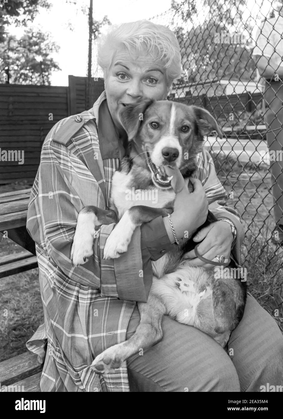 WATFORD - ENGLAND. Pam St Clement visits the National Animal Welfare Trust  near Watford, Hertfordshire, England in1989. Photo by Gary Mitchell Stock  Photo - Alamy