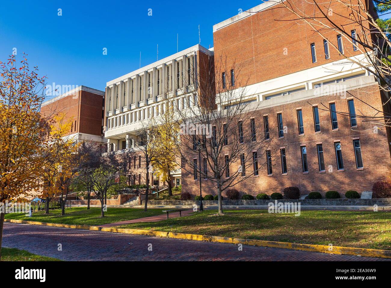 ATHENS, OH, USA - NOVEMBER 6: Vernon R. Alden Library on November 6, 2020 at Ohio University in Athens, Ohio. Stock Photo