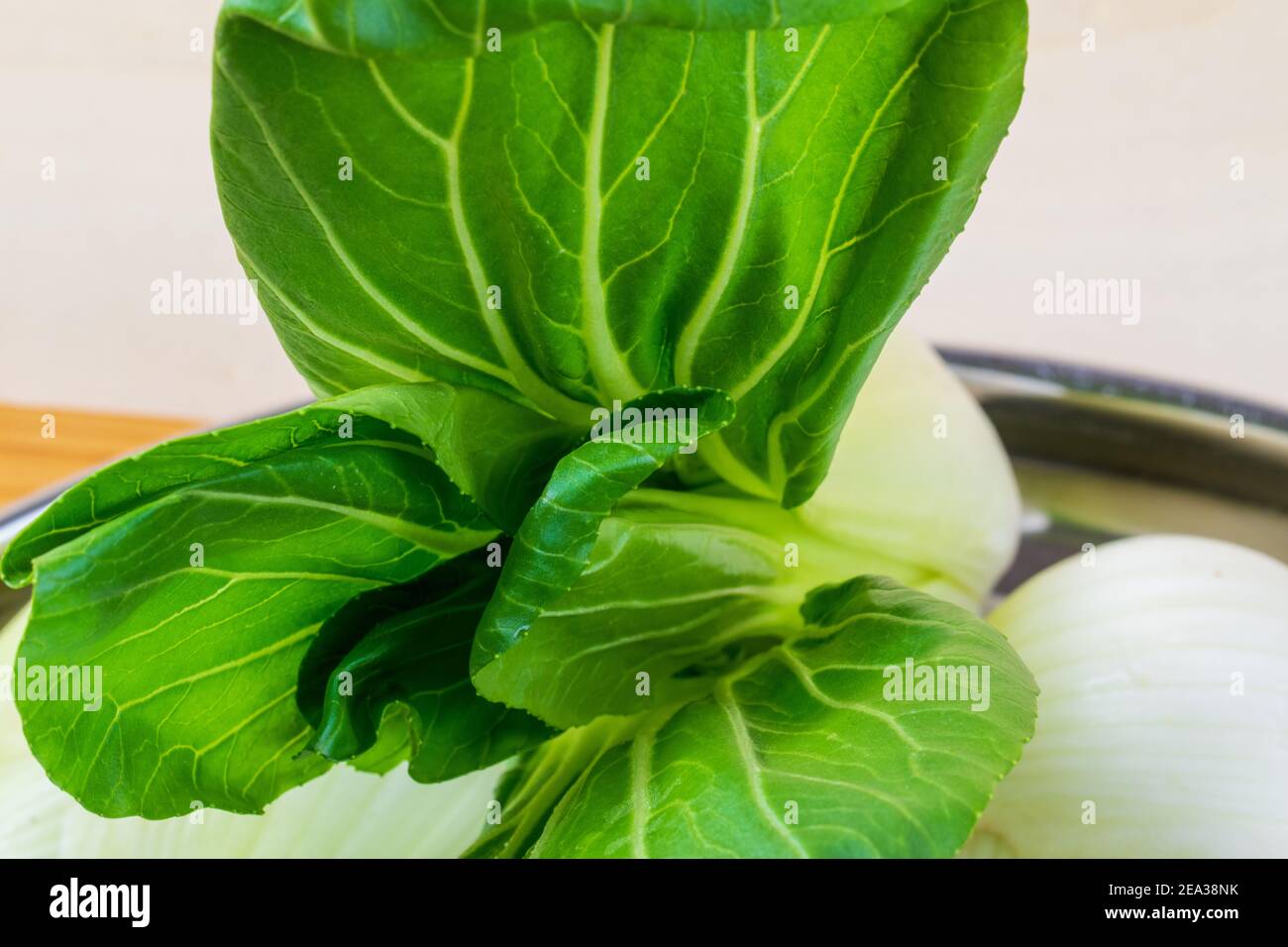 Pak Choi is a close relative of Chinese cabbage. It forms loose heads with bright leaf veins. The leaves are darker green, similar to those of the Swi Stock Photo