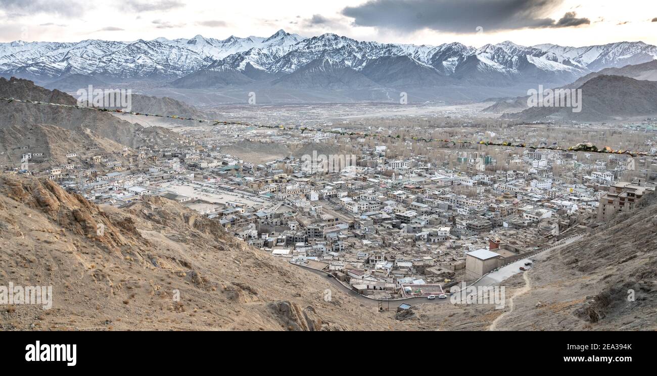 Poplar trees in leh ladakh hires stock photography and images Alamy