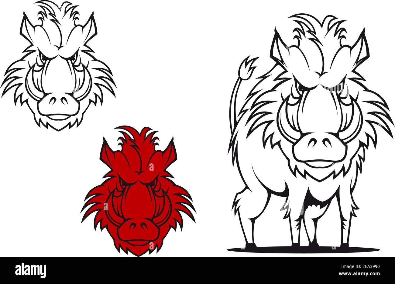 Wild boar in cartoon style as a tattoo or mascot Stock Vector Image \u0026 Art -  Alamy, image size:1300x937